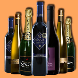 网页端ddos